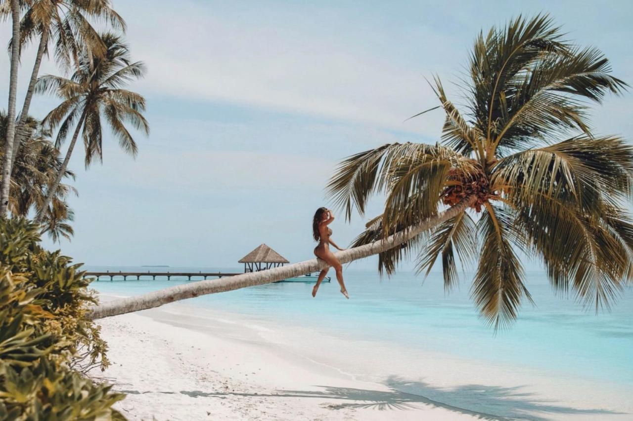 Resort Reethi Faru, Bio Luxury