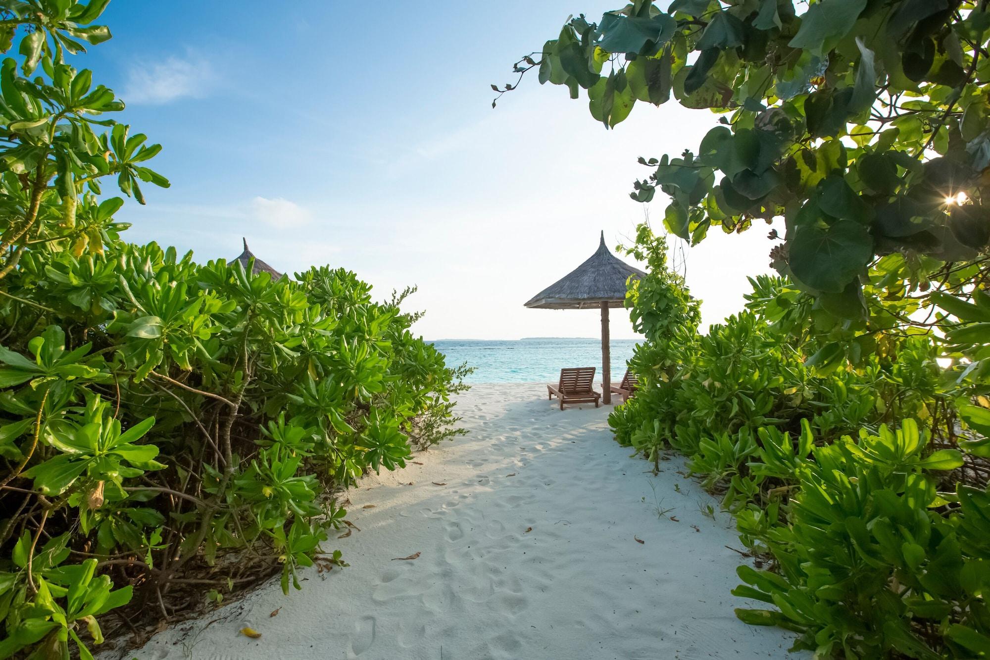 Reethi Faru, Bio Luxury Resort 5*